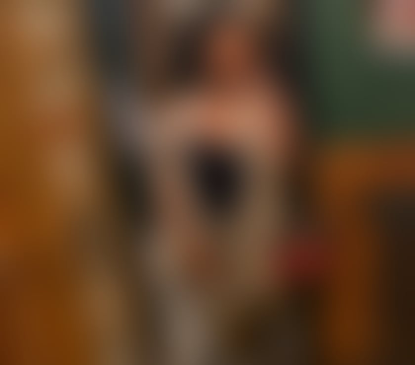 Trans Escorts Central London Lambeth North Station - Central London - Photos for LAYSA Brazilian 🇧🇷 100% real🍆🍑💦