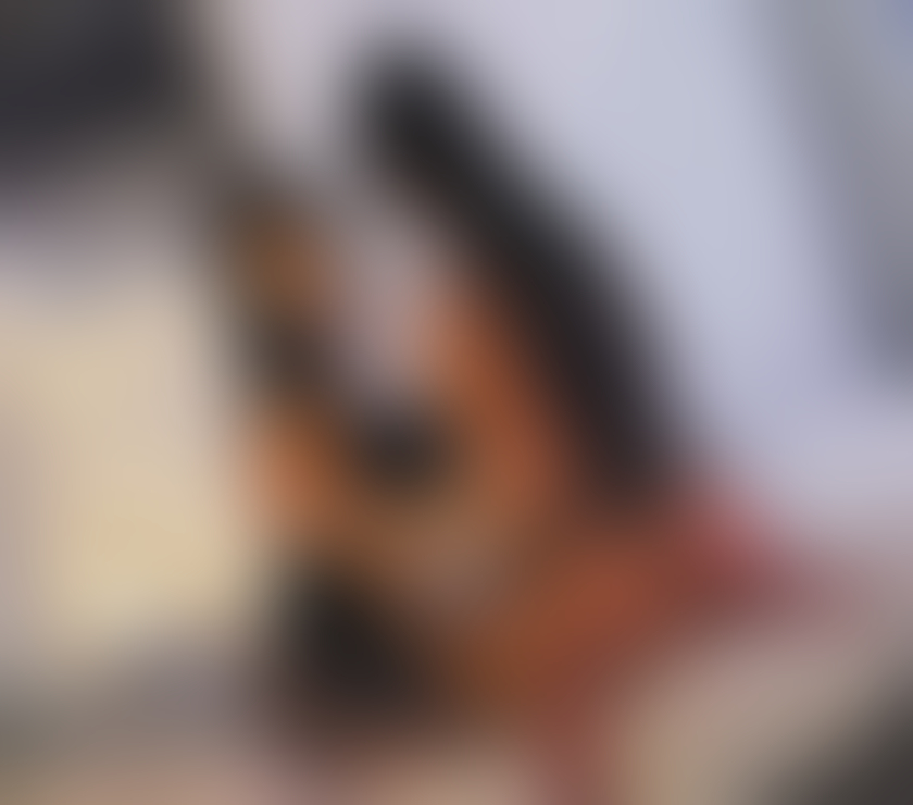 Escorts County Durham Bishop Auckland - County Durham - Photos for Beautiful Ecuador girls 🔥 only outcall