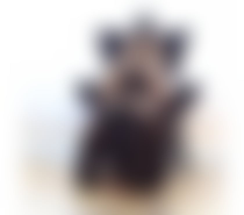 Escorts North London Enfield - Photos for PATRICIA❤️ SEXY LADY💄🍷