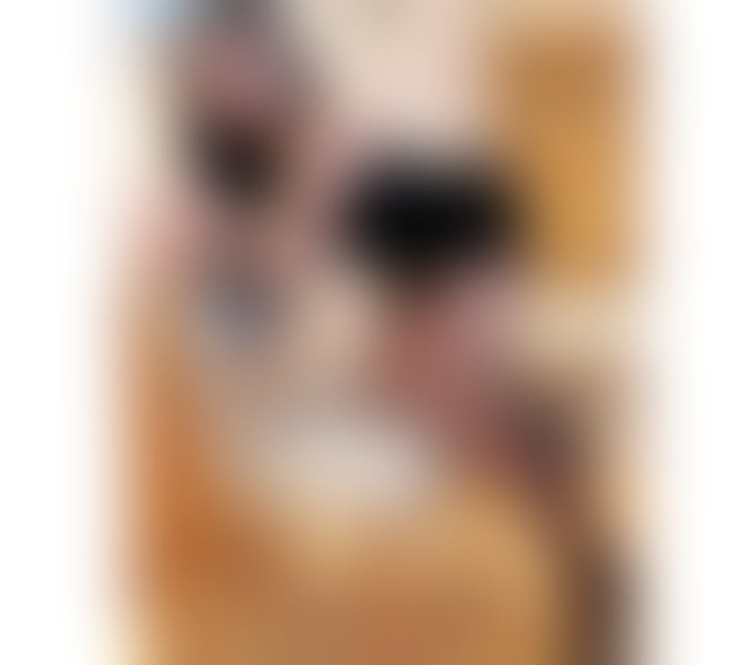Escorts Belfast City Centre (South) Belfast - Photos for Japanese elegant girl -🔥🔥🔥