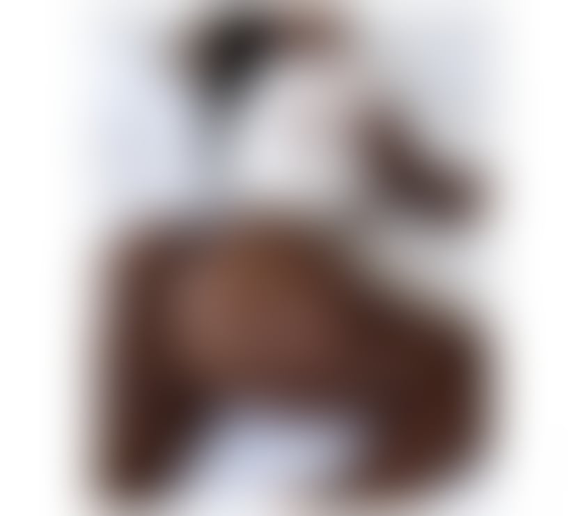 Escorts South Yorkshire Barnsley - Photos for Eva🍭🍭GFE🫦OWO👅💦🍭SWEET🍭GOOD SERVÍCES🩷