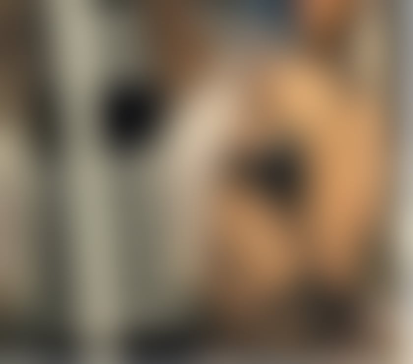 NO RUSH ❌️OWO❌️GFE❌️INCALL&OUTCALL