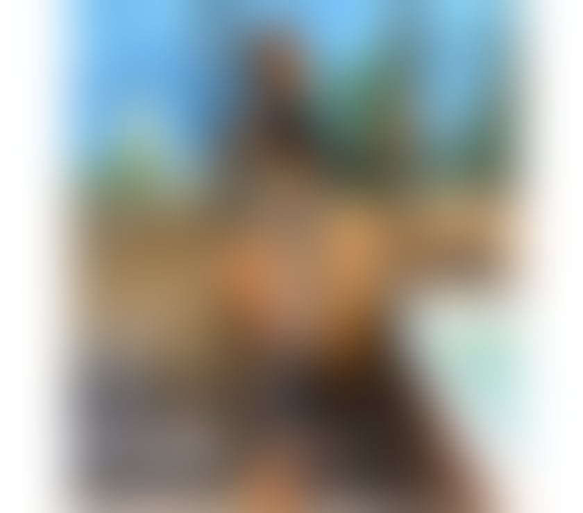 Escorts Shropshire Telford and Wrekin - Photos for GIRL SEXY🎀NEW IN TOWN✨🪩