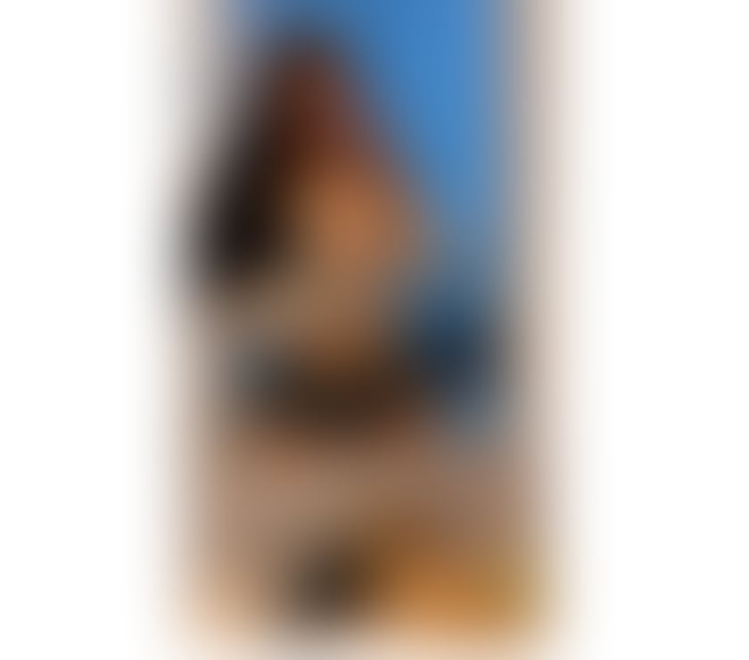 Escorts New Barnet Barnet - Photos for Letícia 🇧🇷😈Party
