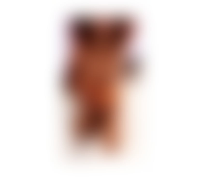 Escorts Merseyside Liverpool - Photos for 💕New EBONY MODEL PERFECT ESCORT💕 3 DAYS PARTY GIRL