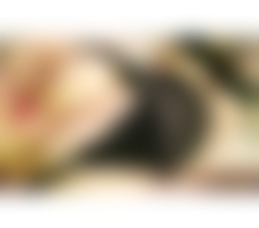 Escorts Hull City Centre Hull - Photos for Leksi new in town party girl
