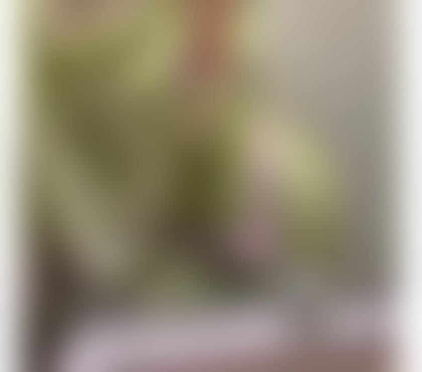 Escorts Leicestershire Leicester - Photos for British Born Indian Girl ❤️🇮🇳