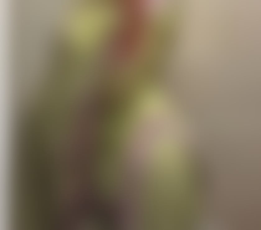 Escorts Leicestershire Leicester - Photos for British Born Indian Girl ❤️🇮🇳