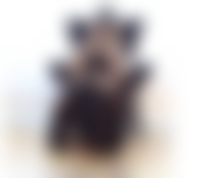 Escorts North London Enfield - Photos for PATRICIA 💚💚SEXY BRAZILIAN 💚💚ONLY 💚💚