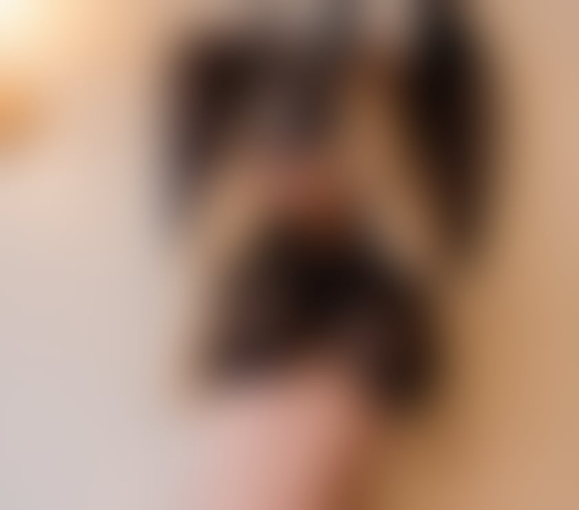 Trans Escorts West Midlands Birmingham - Photos for Beautiful Trans Discreet & Friendly gf experience