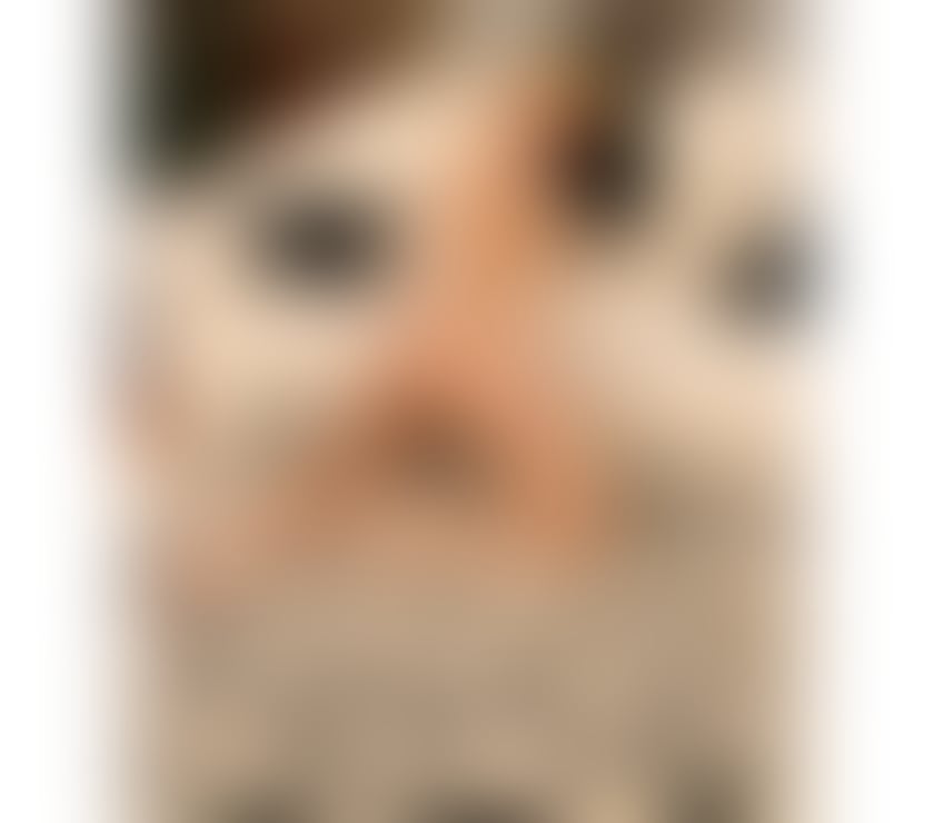 Escorts West Yorkshire Kirklees - Photos for Hello. Guys. I m. Here. Redy. For u 24h open