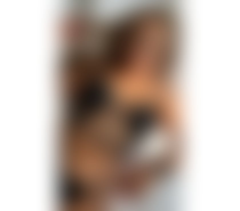 Escorts Essex Southend-on-Sea - Photos for Gabriella SS9, INCALL, OUTCALL, PARTY GIRL 🩷🌸🥂