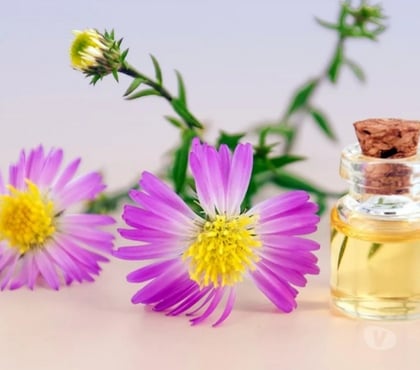 Escort Shadsworth Business Park Blackburn with Darwen - Photos for Thai relaxing full body massage not full service by poppy