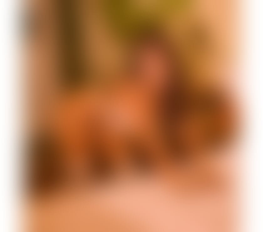 Escorts Suffolk Ipswich - Photos for KELLY🍑 NEW IN TOWN