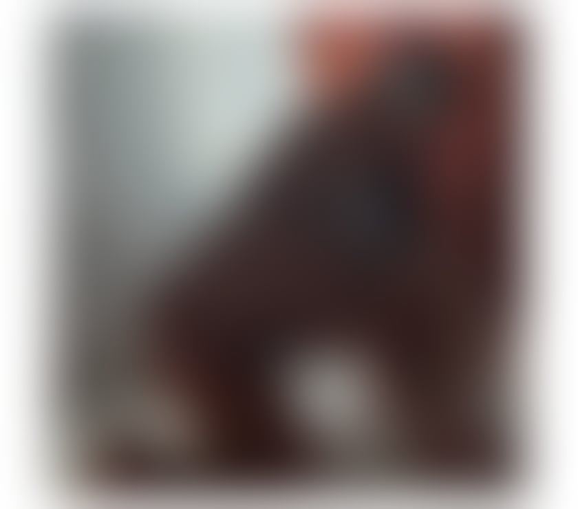 Escorts South Lanarkshire Hamilton - South Lanarkshire - Photos for ❤️Hello new girl in town with big ass party girl ❤️