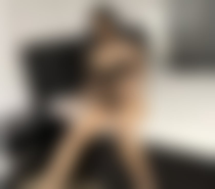 Escorts Norfolk Great Yarmouth - Photos for Sweet and sexy girl ❤️Best service💯