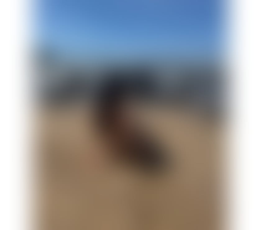 Escorts Darlington Town Centre Darlington - Photos for 🌸 NEW IN TOWN 💓 PARTY GIRL 🥰 BRUNETTE
