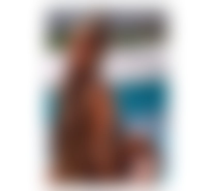 Escorts Hull City Centre Hull - Photos for LARA ♥️ No rush ♥️ OWO🔥 LEVEL.A