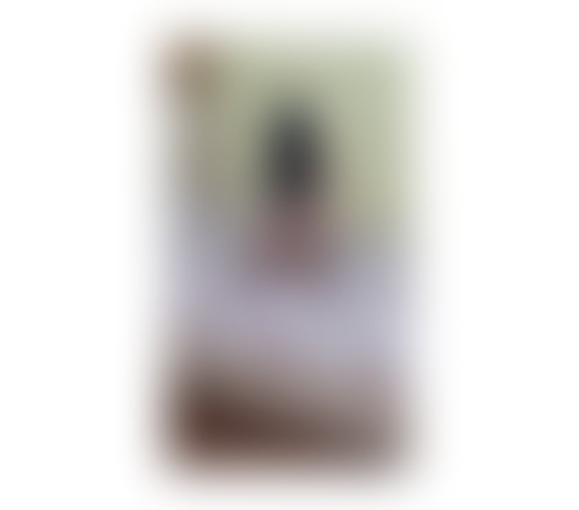  Escorts Exeter City Centre Exeter - Photos for New here💋party girl for incall&outcalls