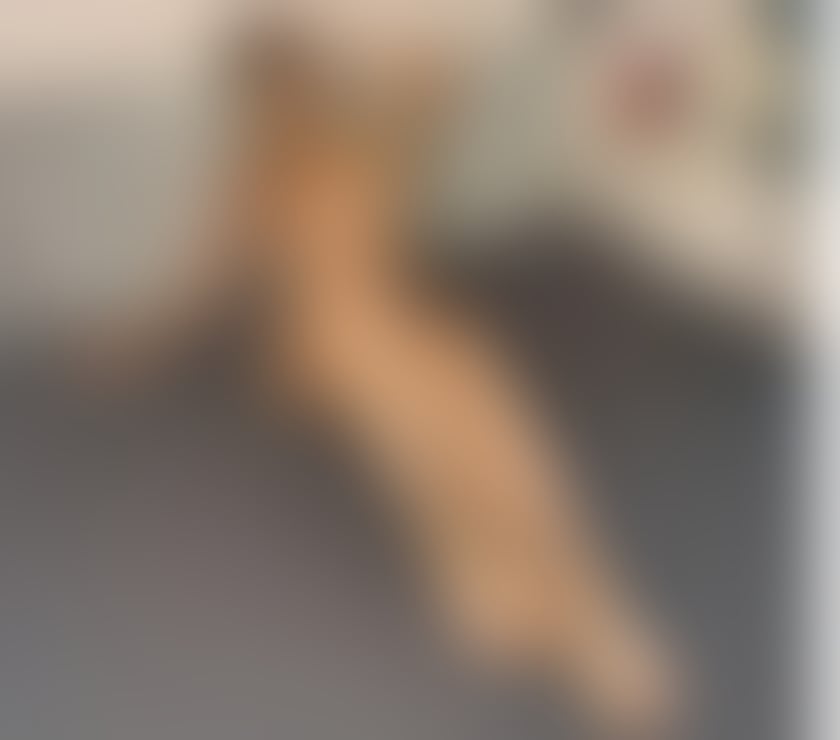 Escorts South East London Plumstead - South East London - Photos for Clotey❤️best service💯real✅no rush❌naughty