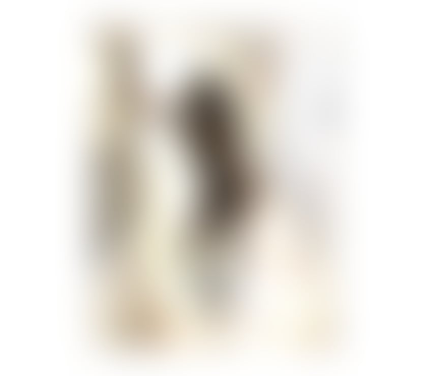 Escorts Buckinghamshire High Wycombe - Buckinghamshire - Photos for looking for happiness, here I am. Veronica