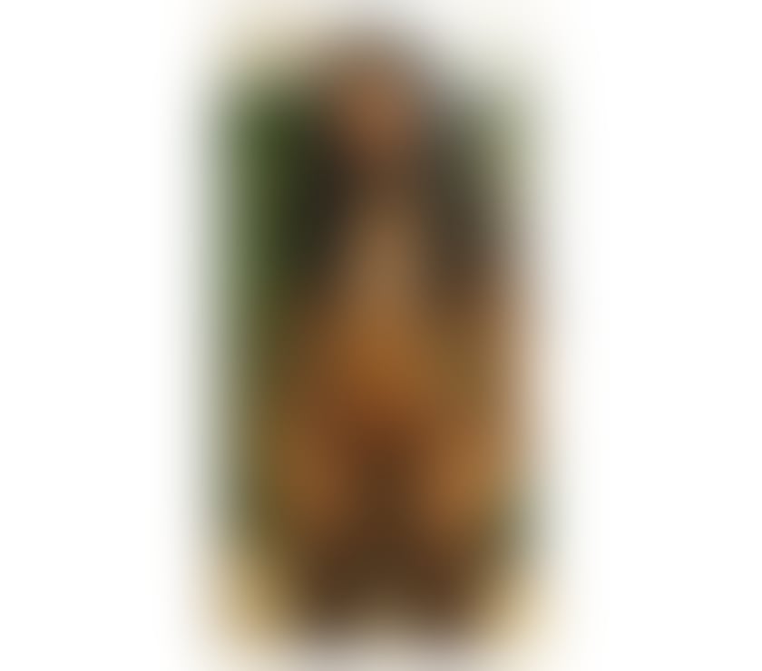 Escorts Stamshaw Portsmouth - Photos for SWEETIE KATE ❤️