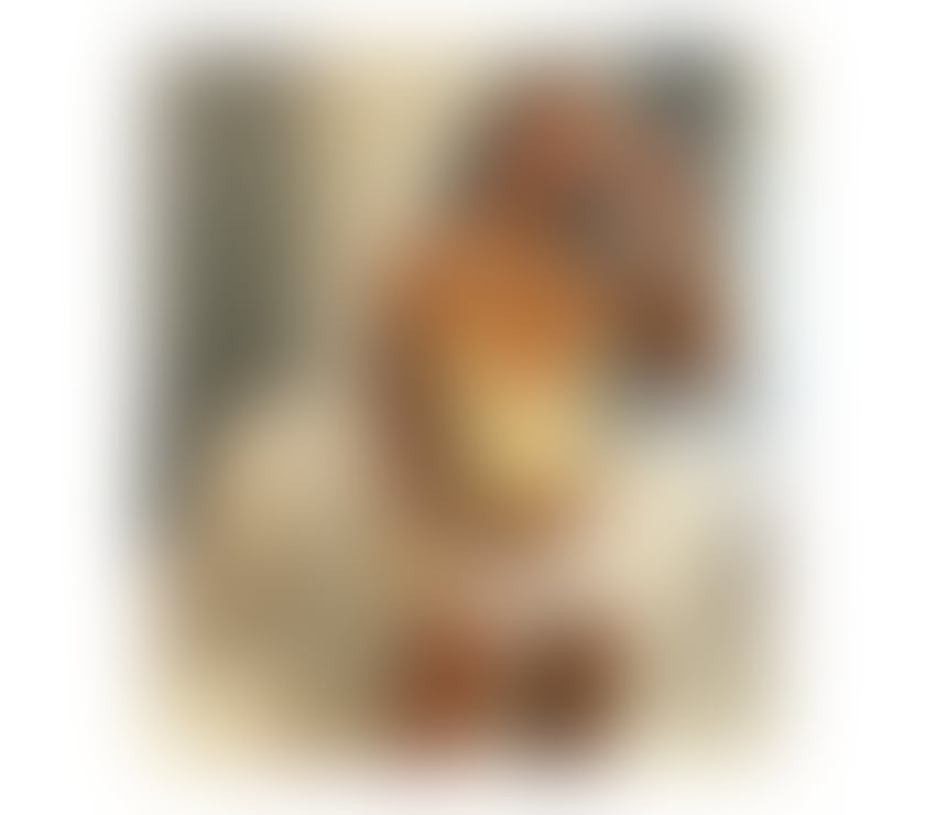 Escorts South Yorkshire Sheffield - Photos for PAOLA🫦😈BESTBJ🤤