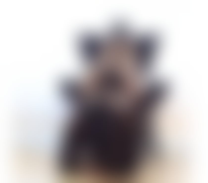 Escorts North London Enfield - Photos for PATRICIA💚GOOD SERVICE💚💚 BRAZILIAN ONLY 💚