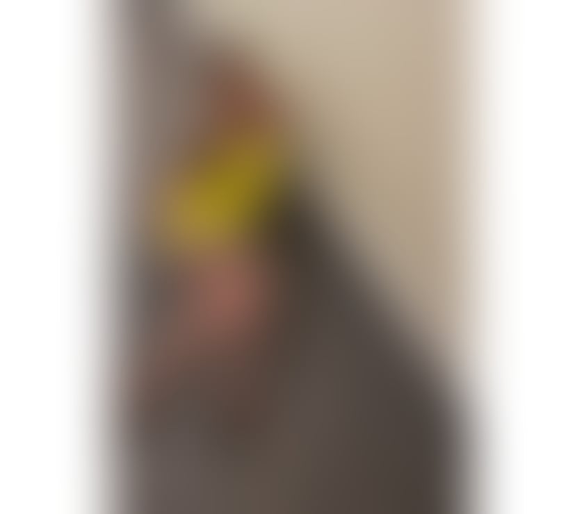 Escorts Leytonstone East London - Photos for NEW 🔝 Yasmina 🍒party 🥳 hottest🔥BJ 🔝🍒