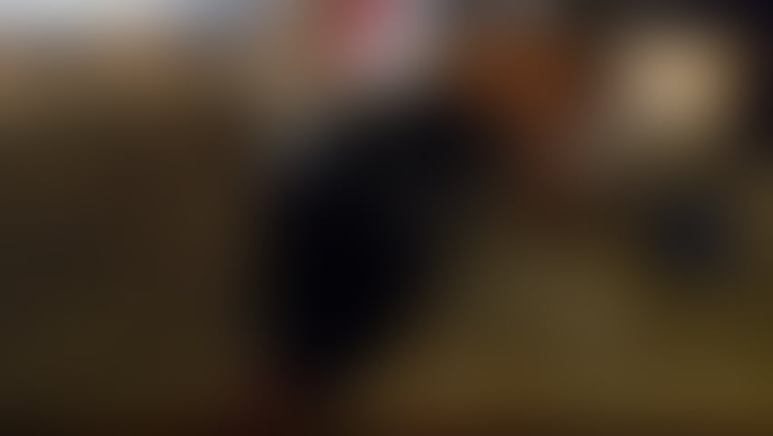 Escorts Kent Gravesham - 