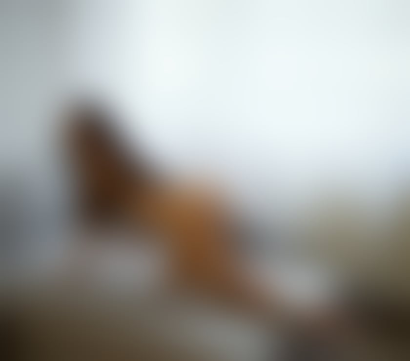  Escorts & Erotic Massage Cheltenham Town Centre Cheltenham - Photos for 🔥 NEW 🥂Jasmin LATINA 🇧🇷 Real 📸🔥🥂