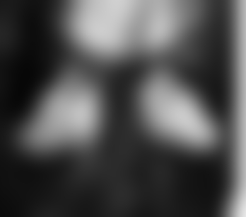 Escorts County Durham Darlington - Photos for Escort services