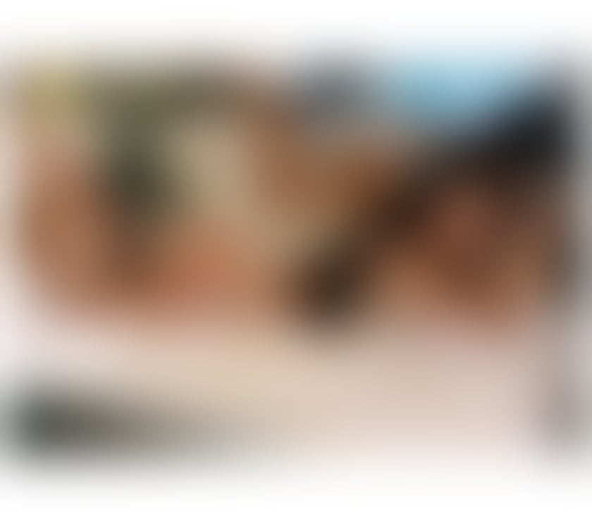 Trans Escorts Essex Colchester - Photos for Miss Belle- Best Rated