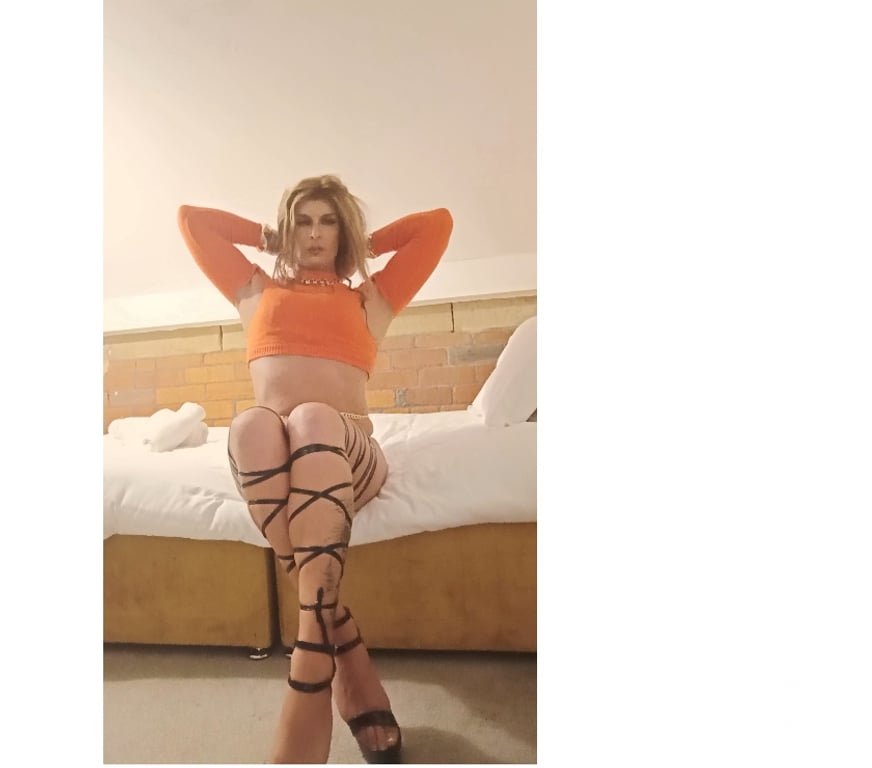 Trans Escorts Tyne and Wear Newcastle upon Tyne - Photos for Belle British ts