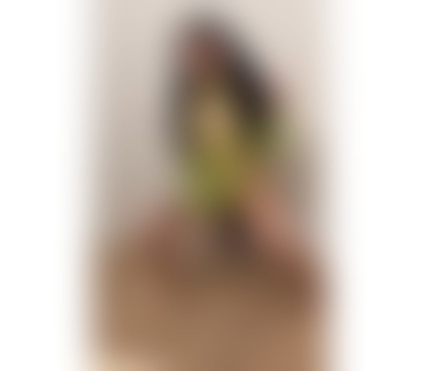 ❤️Sara ❤️ Best ❤️ For You ❤️