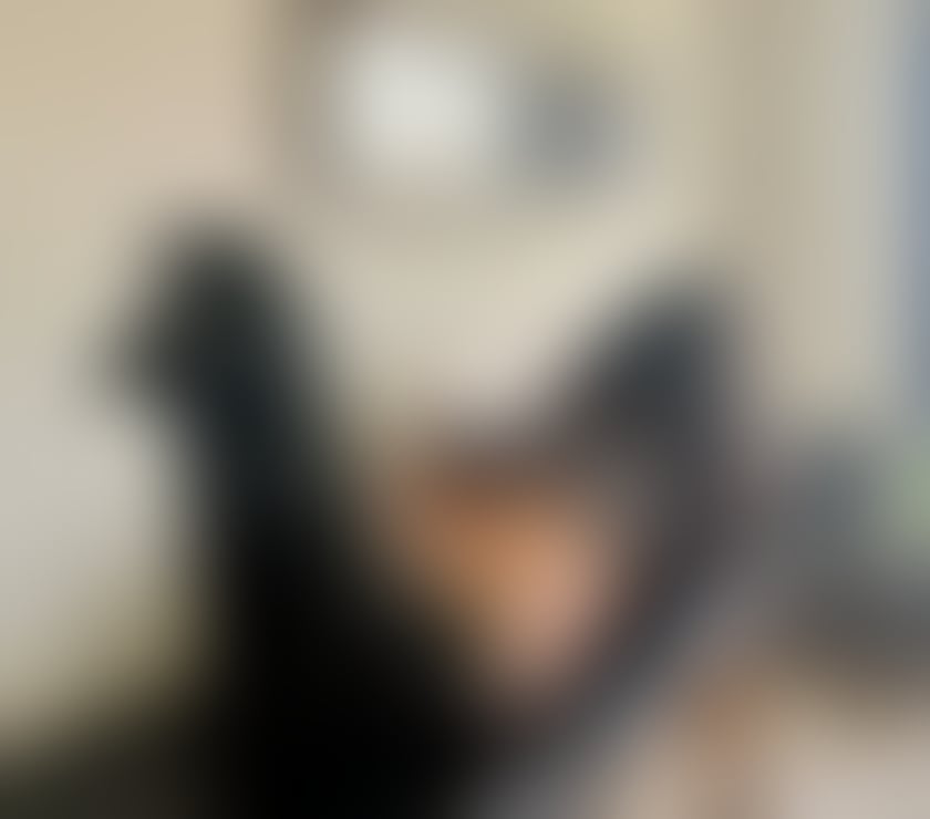 Escorts North West London Burnt Oak - North West London - Photos for Sensual Gina in NW4 💕 B2B💕