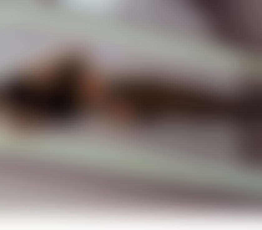 Escorts Staffordshire Stoke-on-Trent - Photos for 🔥 More Than a Fantasy An Unforgettable Experience 🔥