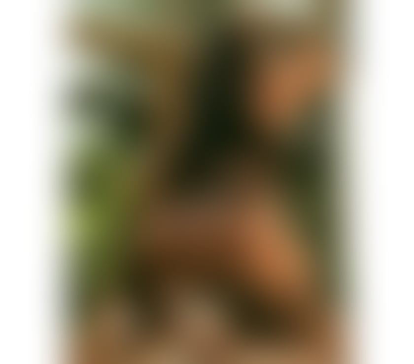 Escorts Cumberland Carlisle - Cumberland - Photos for Melissa 🇧🇷 Best Owo 💯Real😈