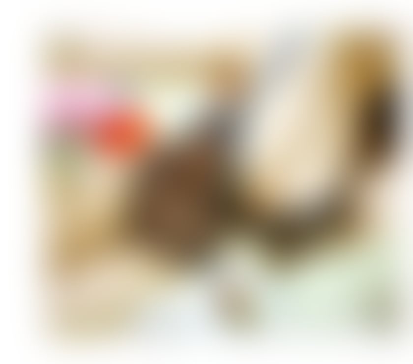 Thai 🇹🇭sexy ❤️ girl with massage 👄