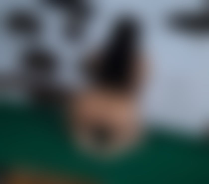Escorts East London East Ham Station - East London - Photos for 💦SEXY HOT BRAZILIAN 🔥 REAL PIC 🍑