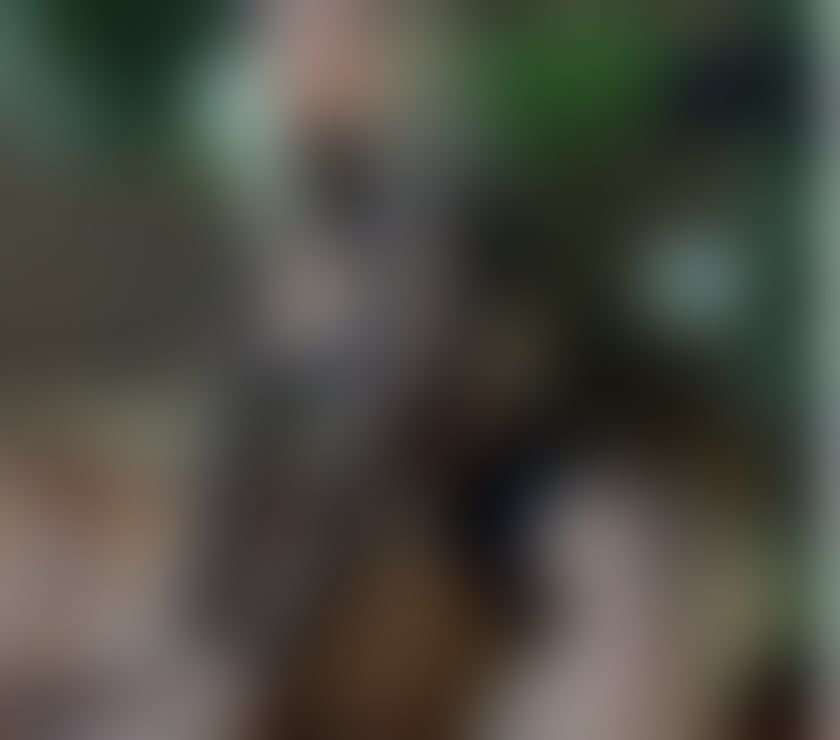 Escorts East Sussex Hastings - Photos for 🌸24 7 🩵 OUTCALL 🩵 CALL ANYTIME 🌸