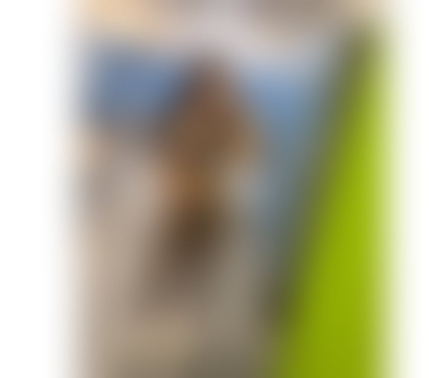 Escorts West London Acton Central Station - West London - Photos for Hot and Sexy🔥Brazilian party Girl 🎉