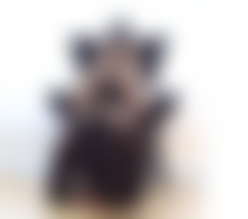 Escorts North London Enfield - Photos for PATRICIA 💚💚SEXY BRAZILIAN💚💚 ONLY 💚💚