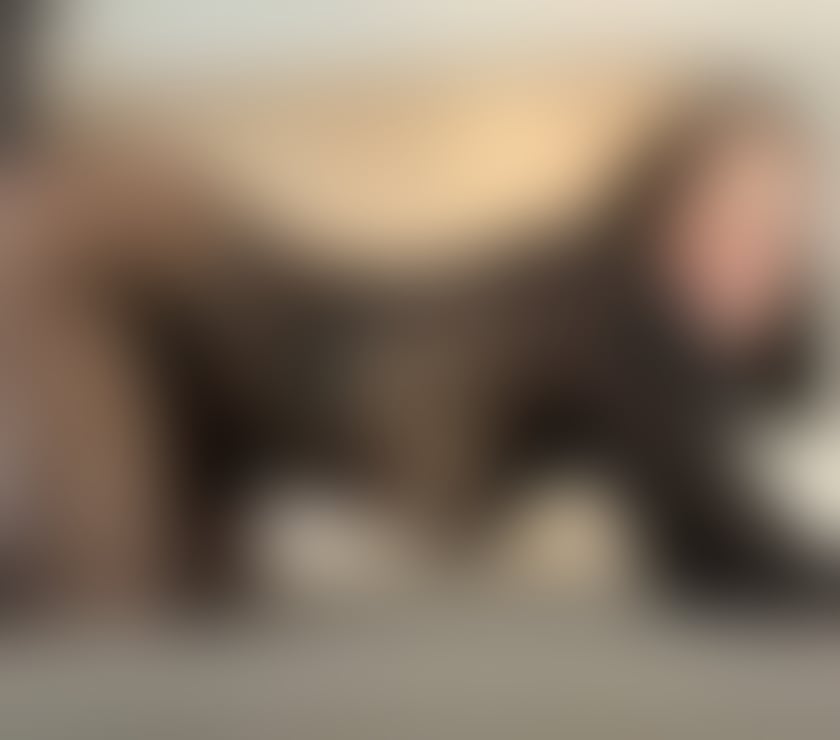 Escorts West Midlands Dudley - Photos for ❤️🥵Jessica hot girl🥵❤️