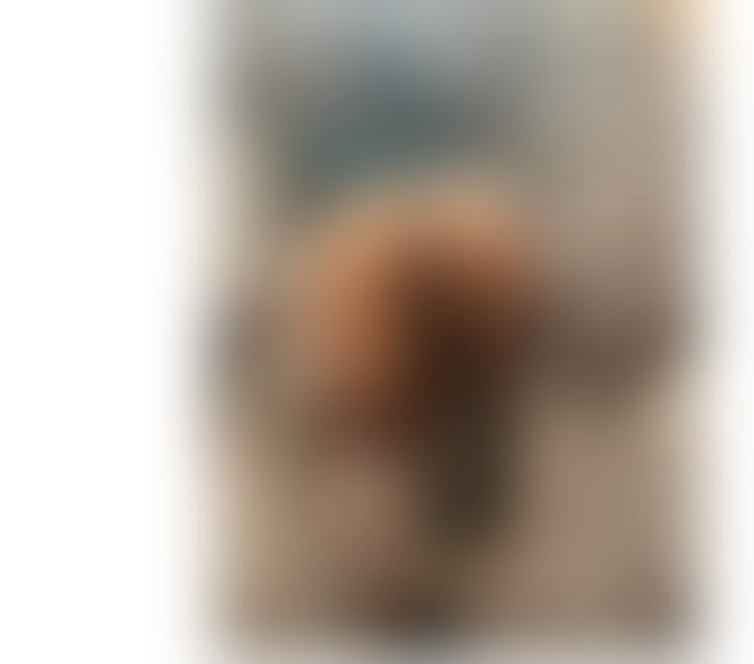 Escorts Warwickshire Warwick - Photos for Atractive party party girl💝