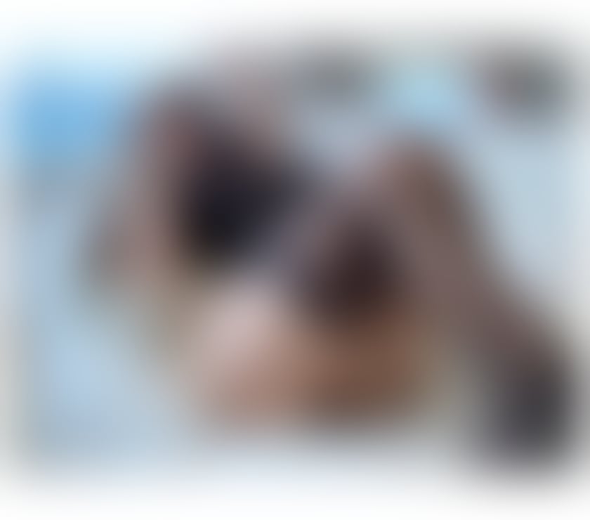 Escorts South East London Lewisham - Photos for 😈VANESSA❤️NEW GIRL,JUST FEW DAYS❤️‍🔥🇧🇷