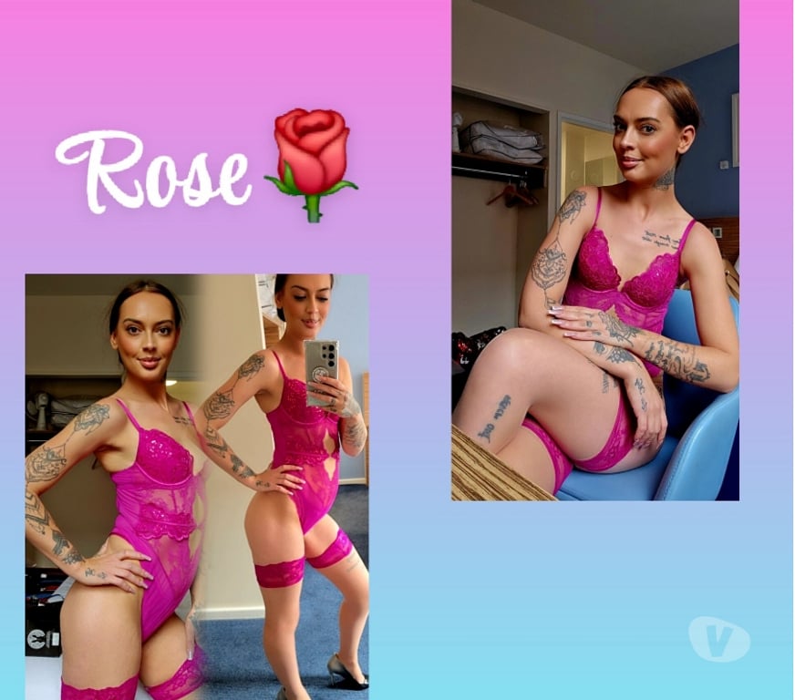 Escorts Bristol Bristol City Centre - Bristol - Photos for White British Rose 🌹 07300647789