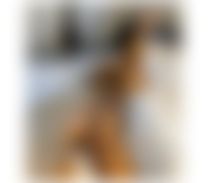Escorts Edinburgh Edinburgh - Edinburgh - Photos for I’m new here ❤️ call me 🥰❤️