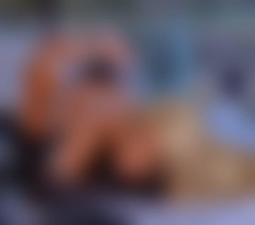 Trans Escorts South West London South Kensington - South West London - Photos for “Stunning Brazilian Trans Available Now