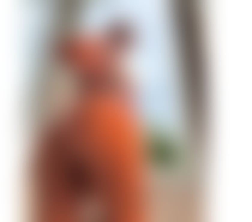Escorts North London Turkey Street Station - North London - Photos for 🔥📍 P @ R T Y 🔥 🔥 AVAILABLE 24 hours 🔥🔥